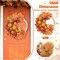 Fall Wreath Decor, Fall Wreaths for Front Door with Lifelike Squirrel, Pumpkins Berries & Maple Leaves, 18" Autumn Fall Door Wreath Fall Wreaths for Front Door Outside Thanksgiving Home Decor.
